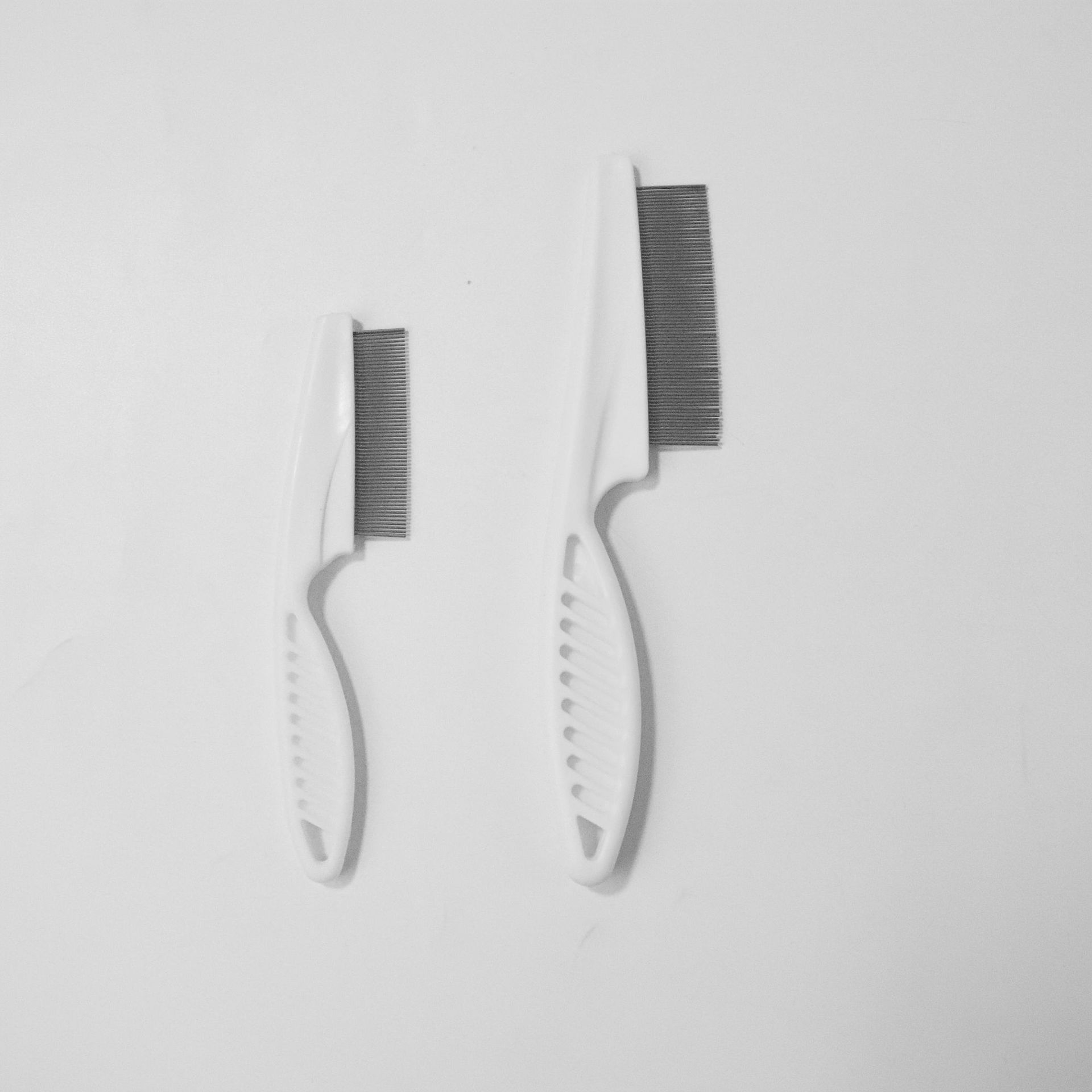 흰 트럼펫