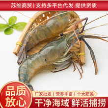 新鲜冷冻高邮罗氏沼虾熟冻罗氏虾酒店商用方便食材