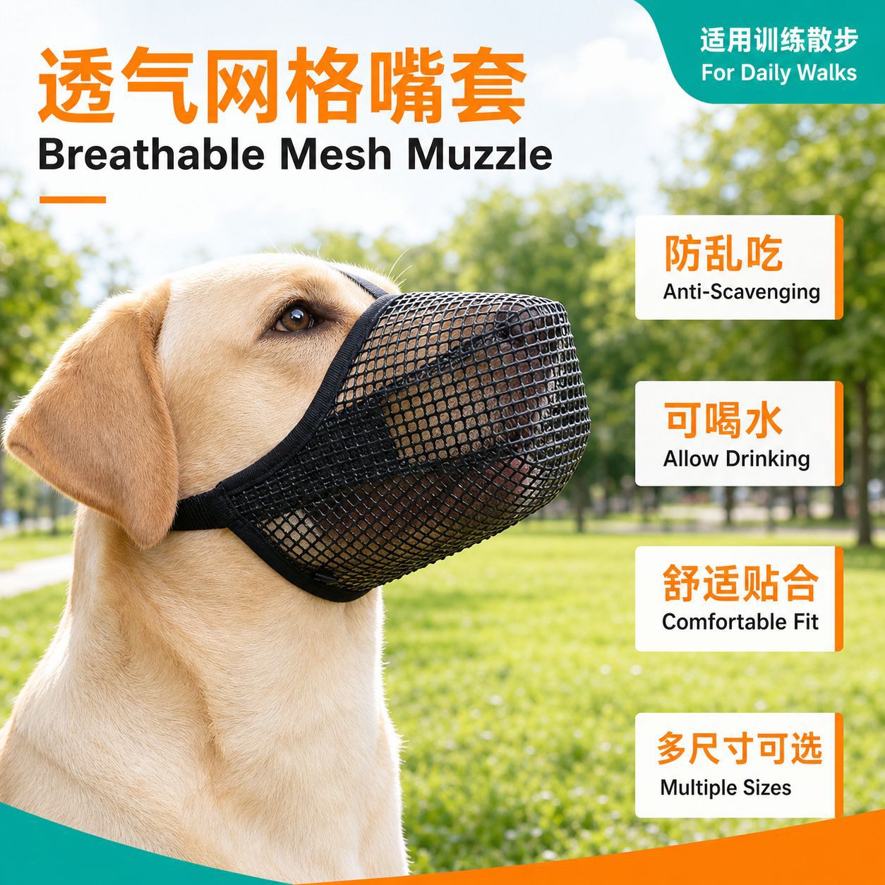 Muzzle Mask to Prevent Eating, Barking, and Biting, Breathable Mesh, Can Drink Water, in Stock, Pet Dog Training Tool