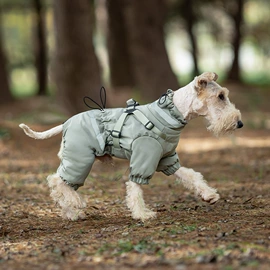 狗狗服装;狗狗牵引