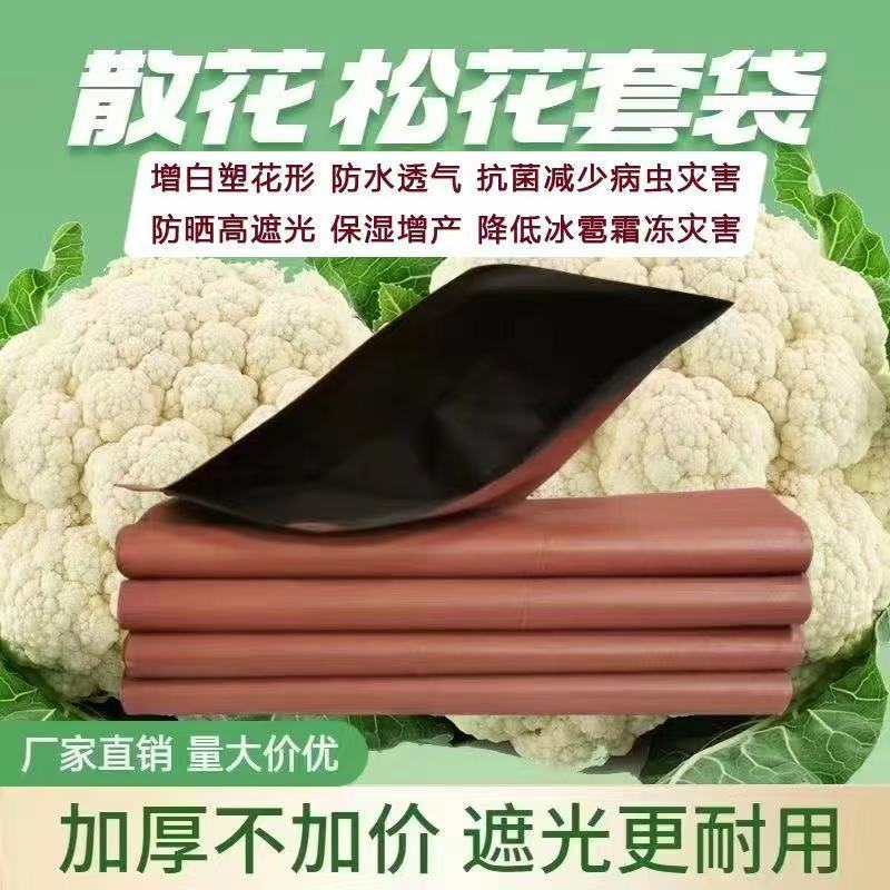 64ec0a7e34fee793ad27f799c06536