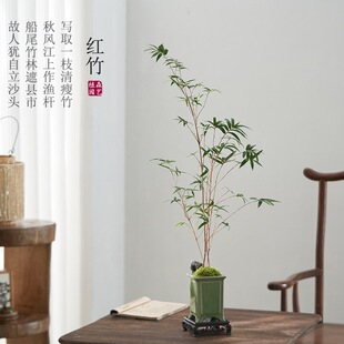 �t��t�^�����҃��辰����Gֲ����ˮ��̦�\�͏d�^�~�̨ͥԺ���B