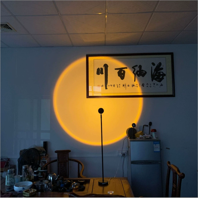 Rainbow floor lamp with projector