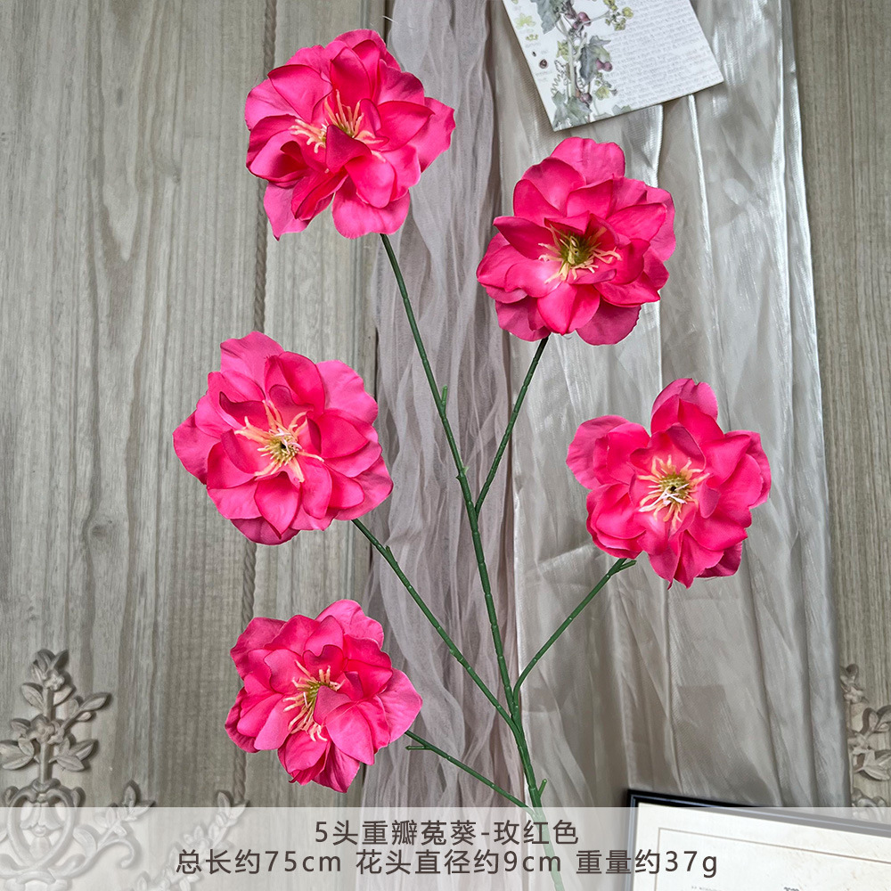 TY-5-ดอกเดียนthus กลีบคู่ หัวเดียว - สีแดงกุหลาบ