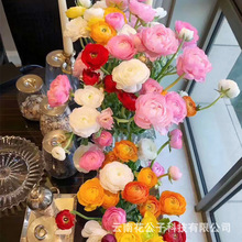 ĵr ëݢr껨ɳ廨͏dƿ廨B