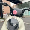 [【太阳花粉】1个装]