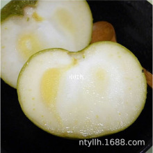 ţ���u���������޽��ձ����Ә�����ţ�����Ϸ������Nֲ���Ե���