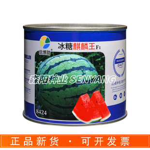 �Ų���������������ϷN��8424����������챡Ƥ����������Ƥ����