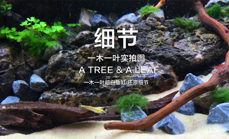 fc544ad4-21cb-4b78-87cb-c99a35d47eb8.jpe