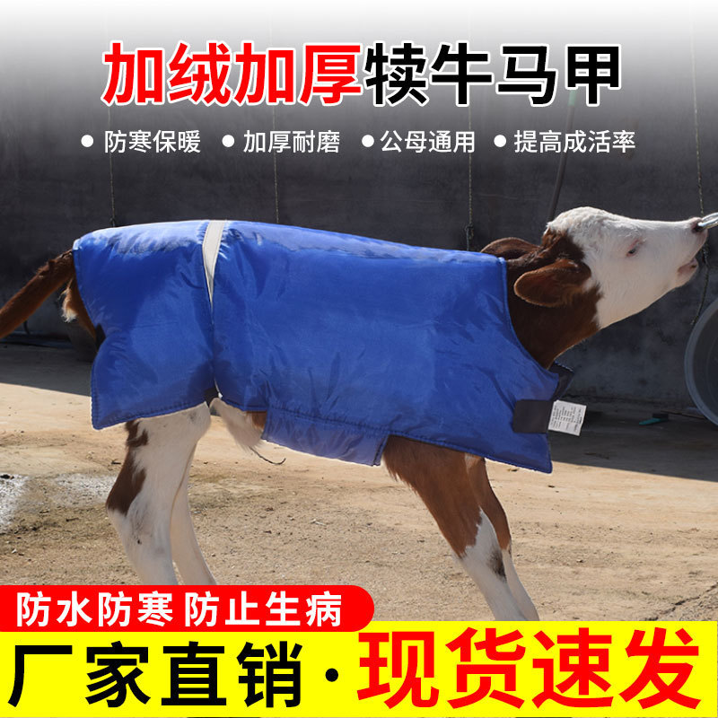 Cow Raccoon Vest Calf Thickeneded Cold-Proof Vest Cow Raccoon Warm Waterproof Cotton Coat Cattle Farm Calf Insulation Clothes