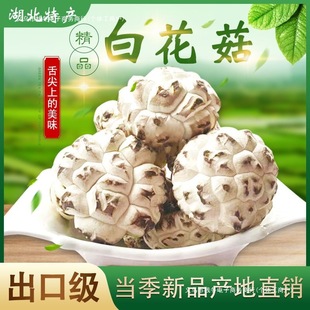 ������؛���ڼ���؛�׻�����񶬹������S���خa���_�㹽�o���