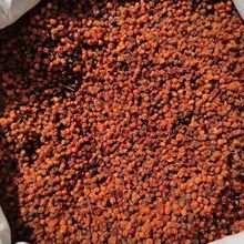 沙棘干500g新疆沙棘果新货新鲜干果泡茶刺果 原浆沙棘籽油包邮真