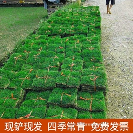 惯性回力玩具;其他厨房电器;暖风机取暖器