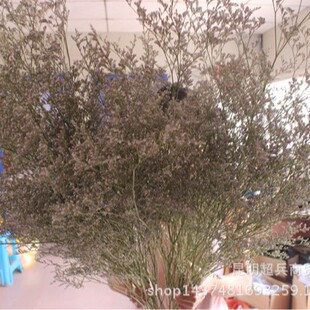 ��С�����˲ݡ���ϸɻ����˲��������ˇС�������㻨��DIY����