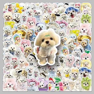 50���R����˹Ȯ�N���Ȍ�С��Ħ��ʹ�ɐ۹����b�ˮ�֙Cˮ���N��