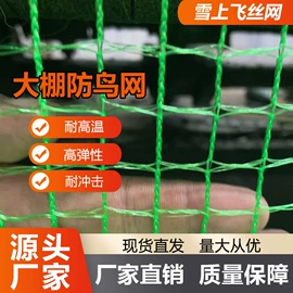 其他塑料网;防雹网;防鸟网