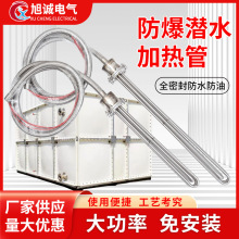防爆潜水加热管380v恒温工业水箱电热管投入式油罐水槽电热管
