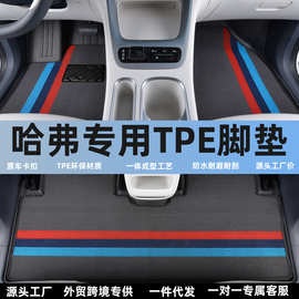 适用哈弗H6Lh6/h9/h2/M6/F7x大狗猛龙PHEV枭龙MAX初恋TPE汽车脚垫