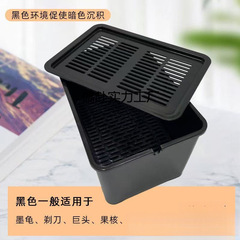 25乌龟发色盒带沉淀幼龟孵化饲养盒蛋龟加温黑白隔离鱼缸龟苗全套