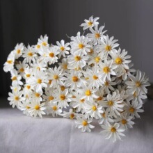 干花招财文心兰手工艺术干花婚庆民宿家居装饰插花摆件风干小滨菊