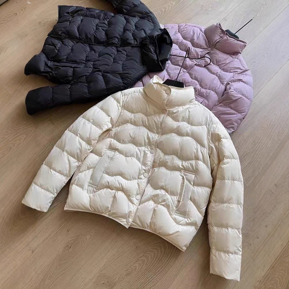 90 White Duck down Lightweight down Jacket Women's Short 2025 Winter New Korean Style High-End Simple Stand-Up Collar Warm Jacket