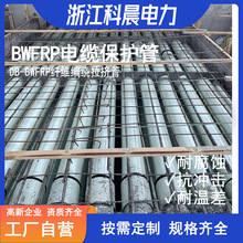 [�����S��]DB-BWFRP�������ش����w�S�����p�@���D����|���o��