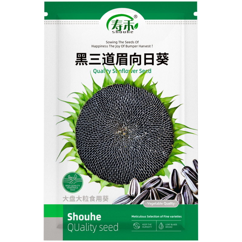 白三道眉向日葵种子 食用葵花板葵 盘大粒长 食用观赏传统品种