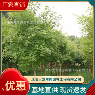 �������l �Ԯa���N�������� ���Ǘ� ���^�쾰��·�@�ֹ��̾G����