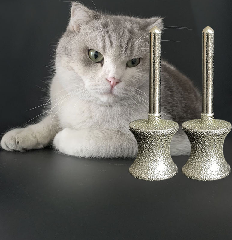 9bf4735e74e155ee7ad8c36c12b52e