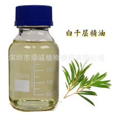 【枝叶精油】白千层绿花白千层蒸馏提取香薰医药化妆品等天然提取