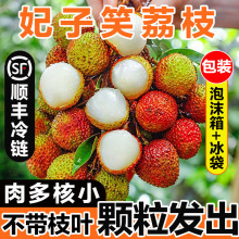 ����Ц��֦���ں������r�Fժ����ˮ���V�|�������l�S�����Q