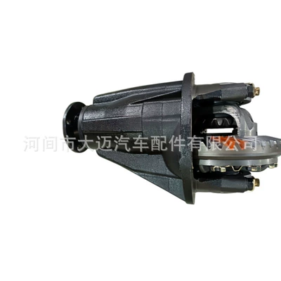 axle main reducer – Differential assembly