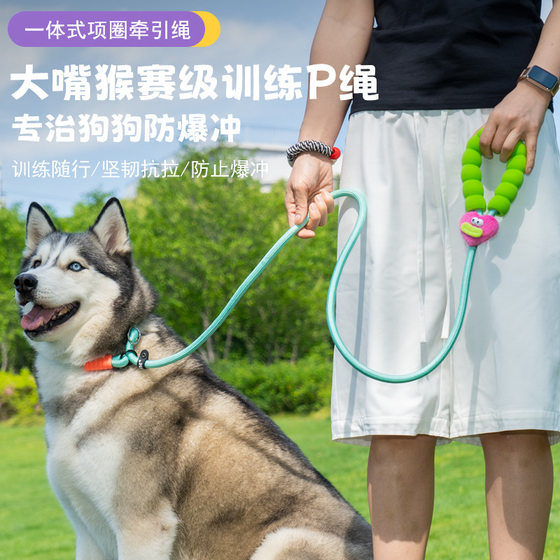 New Cartoon Candy Color Animal Nylon P Rope Dog Leash Cute Big Mouth P Chain Small and Medium-Sized Dog Leash