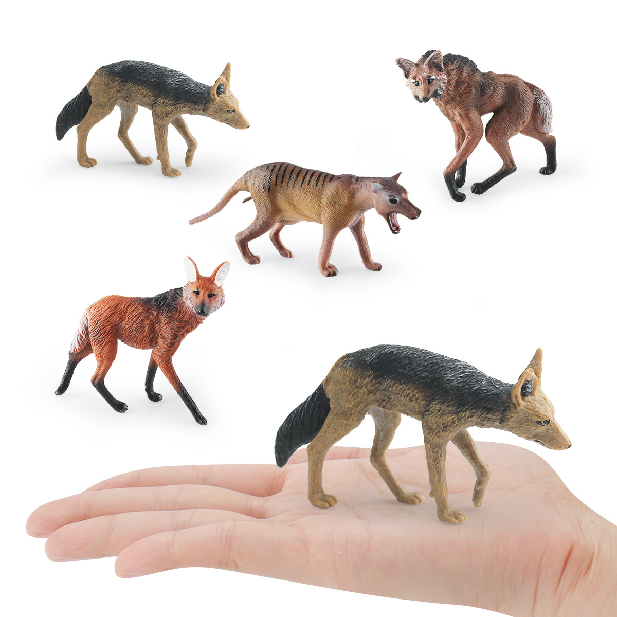 Modelo realista de lobo de pradera transfronterizo, juguete educativo para niños, lobo mancuzo, lobo brasileño, dingo, lobo de espalda negra, pieza de exhibición estática