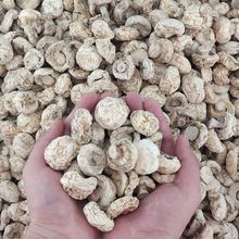 Ģ����؛��Ģ������ԭҰ���p�߹�����ϵ��Ї����]���ڰ�Ģ����؛