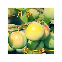 ���������������ˬ���Ӽ޽����Ә����ϱ�������Y����������Y��