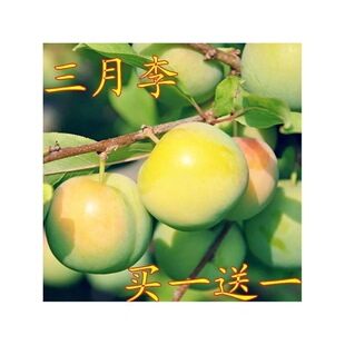 ���������������ˬ���Ӽ޽����Ә����ϱ�������Y����������Y��