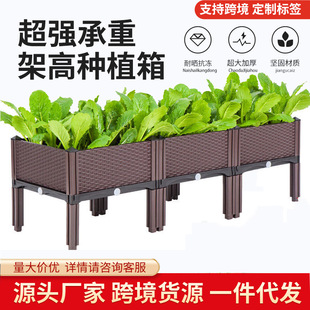 �羳؛Դ�Nֲ�䁆�R�d�¿����ϻ����̨�N�����߲˷Nֲ��S��ֱ�N