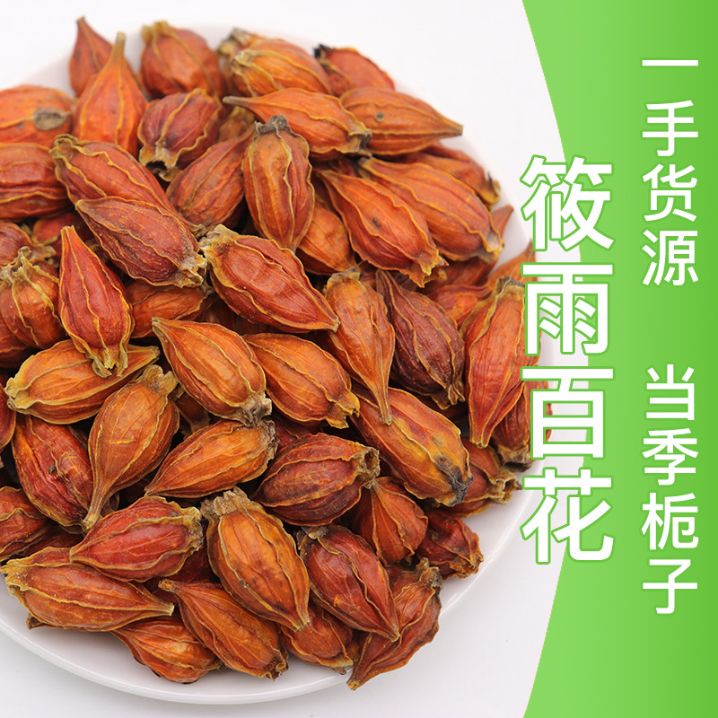 批发栀子散装栀子干 红栀子水栀子花果茶一手货源量大价优可代发