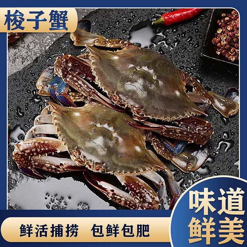 梭子蟹新鲜特大海蟹野生舟山大螃蟹海鲜水产冷冻海蟹白蟹飞蟹海鲜