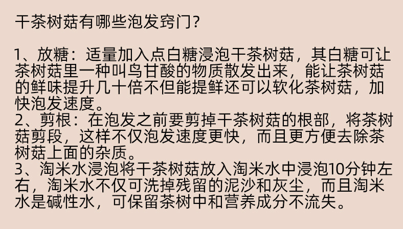 2023不开伞茶树菇2_03