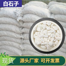 厂家加工园艺盆栽铺面小石头园林枯山水造景白色石子白石子景