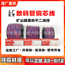隧道矿用0.62铜芯线0.52数码管铜芯线双股连接线工程铜芯延长子线
