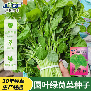 �G�{�˷N�ӈA�~�t�a�˺��h�˷N�Ѵ��ļ��r���߲�Ұ����˷N���ļ�