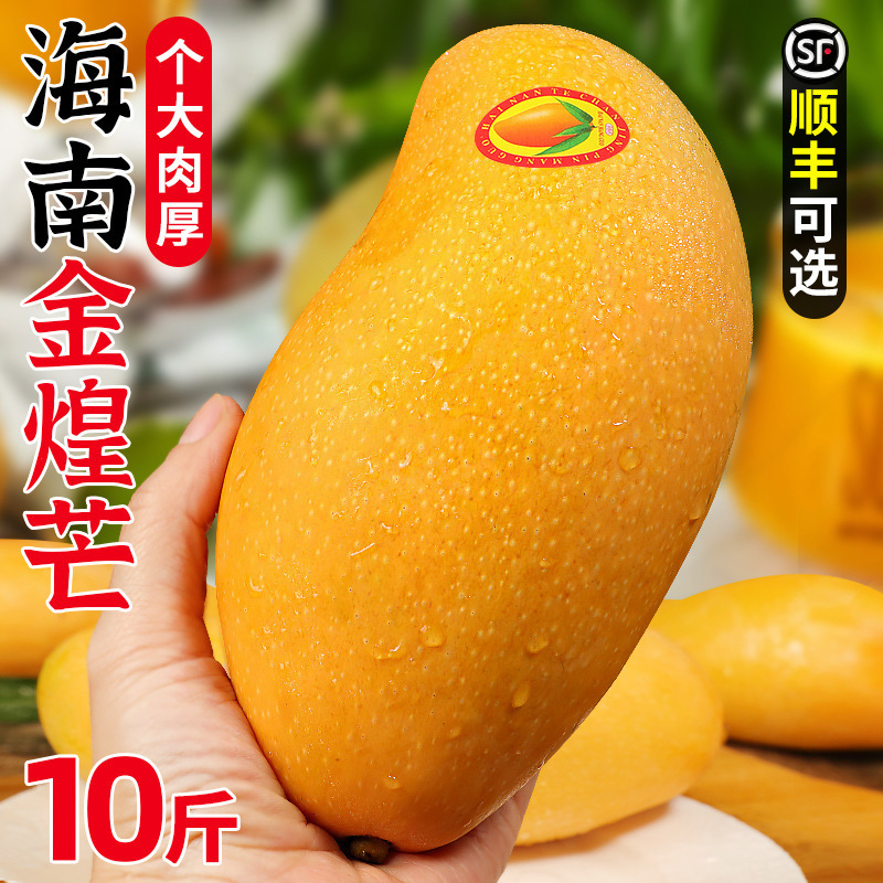 Mango Hainan Jinhuang Mang 5kg First-Class Large Fresh Fruit Freshly Picked Green Sweetheart Yellow Skin Whole Box Wholesale and Retail