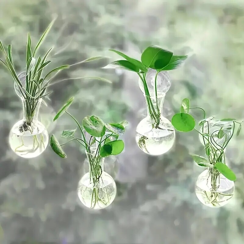 現代壁掛け式水培花瓶透明水養生け花壁に植木鉢緑羅水培器植物装飾|undefined