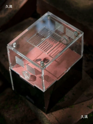 Concrete Nest for Pets 3D Betonqarışdıran maşınlar