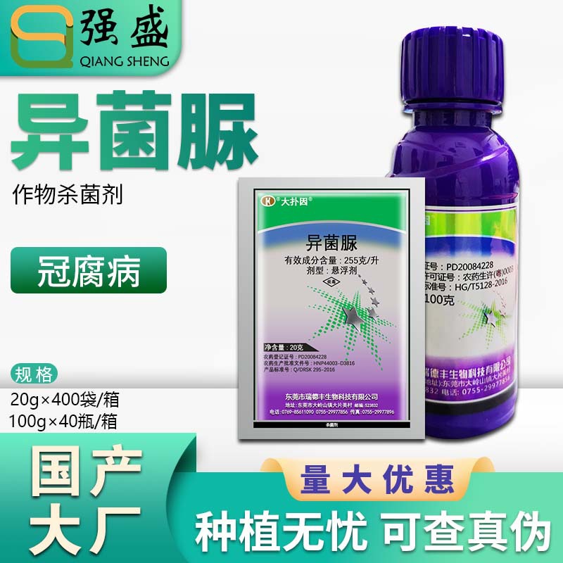 瑞德丰大扑因异菌脲香蕉冠腐病苹果斑点落叶病番茄疫病杀菌剂农药