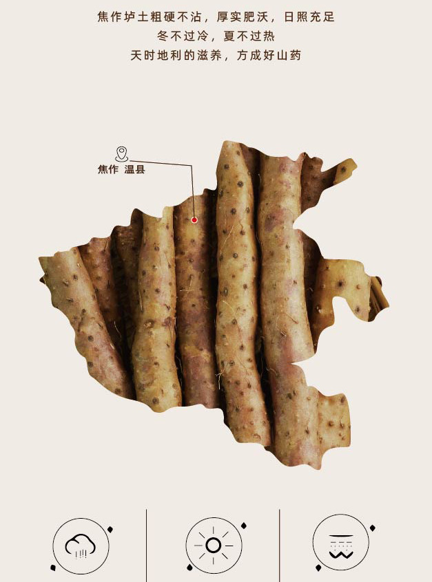 Fresh Wenxian Iron Stick Yam Chinese Yam Huai Shan Gift Box 70cm 7 Jin Net Weight key features