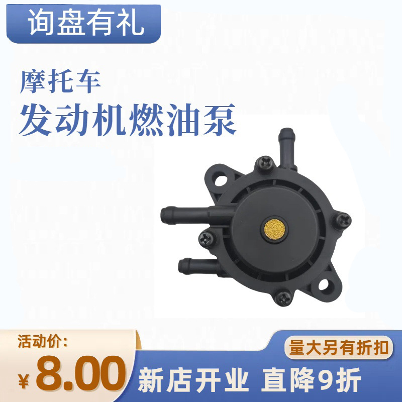 Motorcycle Engine Fuel Pump Suitable for Baileton 491922 808656 691034 808281